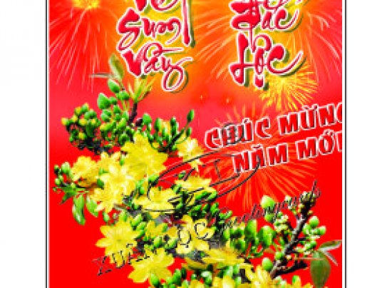 LÌ XÌ ĐẠI ( 8,5 cm X 16,5 cm ) 06