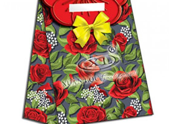 TÚI NẮP  GIẤY KHỔ (23.5cm X 30cm) _04
